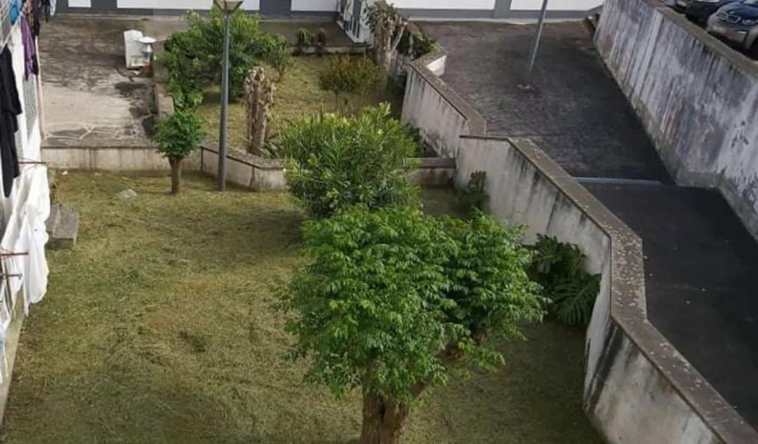 Apartment Orquidea *